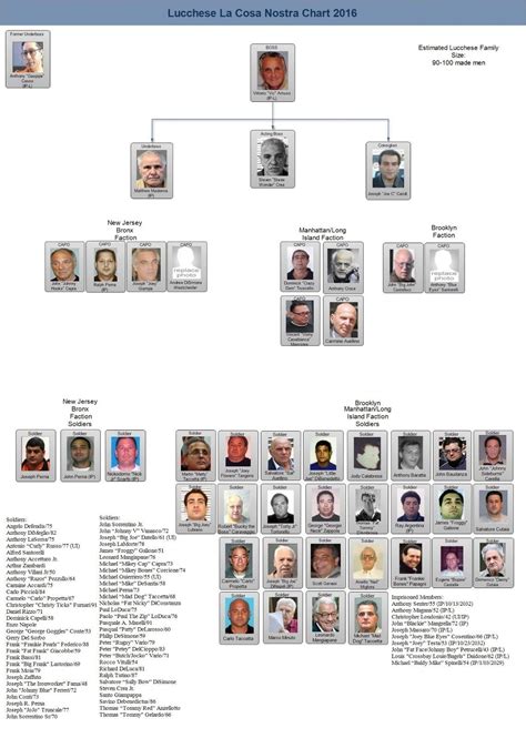 LUCCHESE FAMILY CHART 8X10 PHOTO MAFIA ORGANIZED CRIME MOB MOBSTER ...