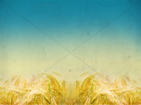 Harvest Fields Blurred Horizon Church Background