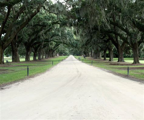 Top 4 Plantations to Visit in Charleston | Charleston Plantations