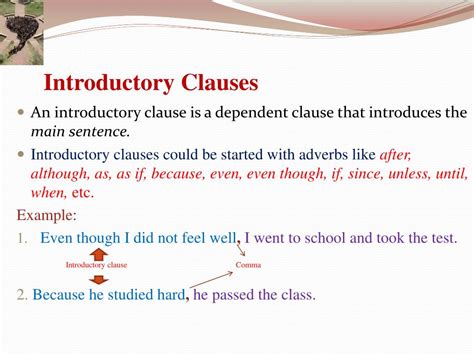 Comma With An Introductory Phrase