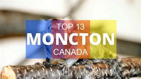 Top 13. Best Tourist Attractions in Moncton - New Brunswick, Canada ...