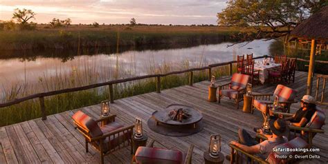 Top 10 Best Okavango Delta Luxury Safari Lodges & Camps – SafariBookings