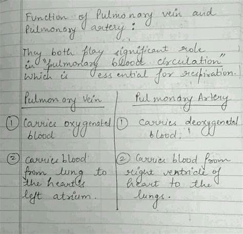 what is the function of a pulmonary vein and a pulmonary artery ...