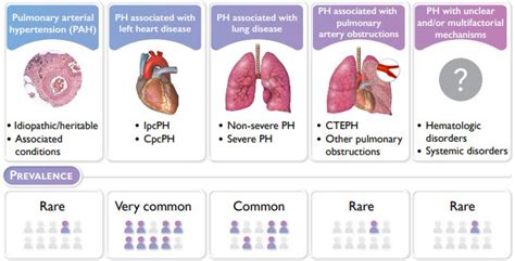 Revised Definition of Pulmonary Hypertension and Approach to Management ...