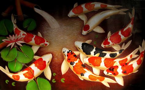 Japanese Koi Fish Pond Wallpapers - Top Free Japanese Koi Fish Pond ...