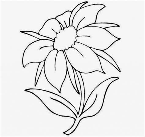 Drawing Of Different Types Of Flowers at GetDrawings | Free download