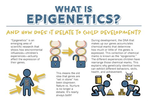 Which of the Following Is an Example of Epigenetic Inheritance ...