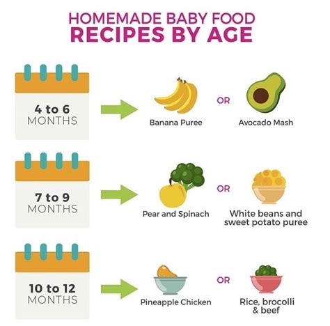 Homemade Baby Food Recipes for 4-12 months – Actif USA