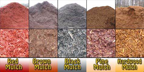 Different types of mulch