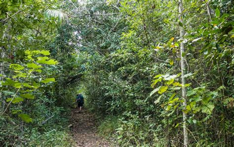 Cuba Vacations: Hiking National Parks in Cuba - Travel Past 50