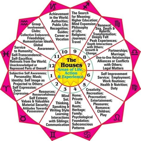 Here's an explanation of the houses in a natal chart | Astrology ...