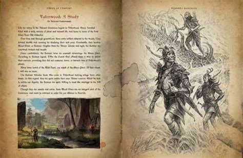 Brush Up on your Elder Scrolls Lore with this New Book - COGconnected