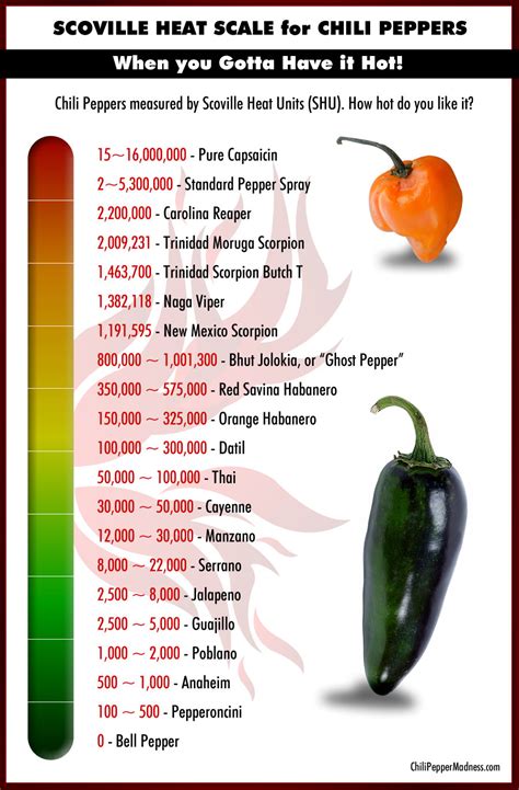 The Scoville Scale - Chili Pepper Madness