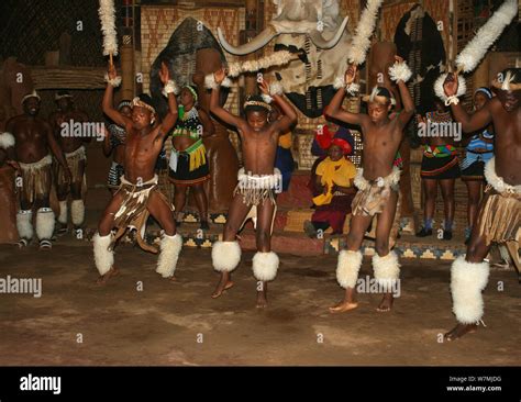 Zulu dance hi-res stock photography and images - Alamy