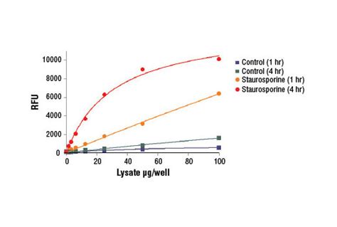 Caspase-3 Activity Assay Kit | Cell Signaling Technology