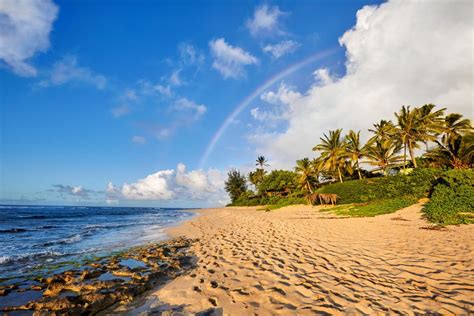 15 Best Beaches in Oahu - The Crazy Tourist