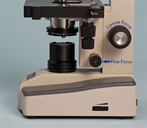 Microscope Activities, 3: Focusing the Microscope