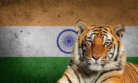 National Animal Of India