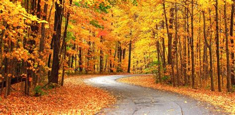 6 Best Fall Foliage Drives in Western Pennsylvania