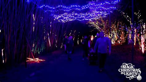 Botanical Gardens Mobile Al Christmas Lights | Fasci Garden