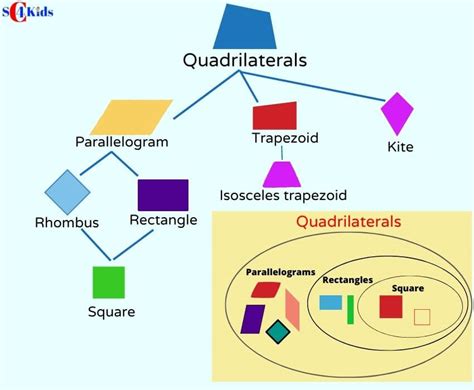 Quadrilateral [Explained with Pic], 7 Types of Quadrilaterals