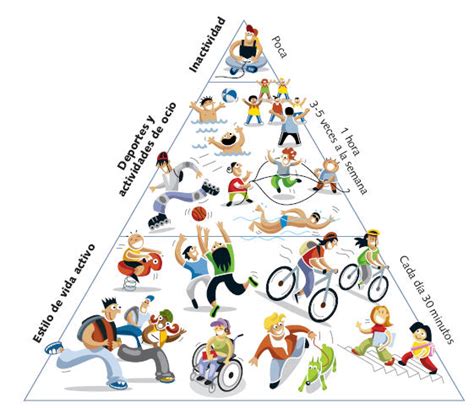 Educacion Fisica en las personas : La importancia de la actividad ...