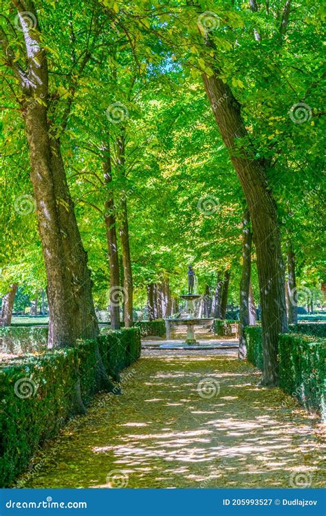 Gardens of Royal Palace of Aranjuez, Spain Stock Image - Image of ...