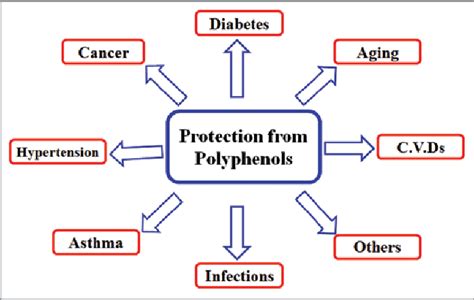 Figure 2 from Plant polyphenols as dietary antioxidants in human health ...