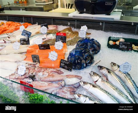 Sainsburys supermarket fish counter, England, UK Stock Photo - Alamy