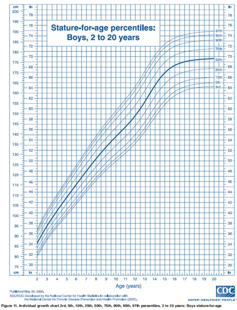 OurMedicalNotes: Growth Chart - Stature-for-age percentiles: Boys, 2 to 20y