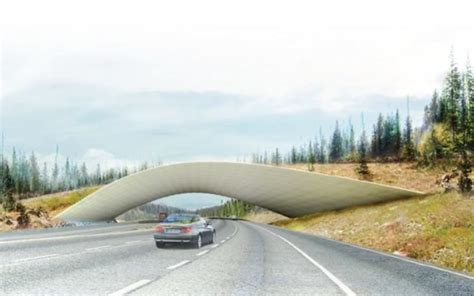 Five Archtitects Design Wildlife Crossings for Colorado Highway