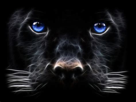 Black Panther Blue Eyes Wallpaper - WallpaperSafari