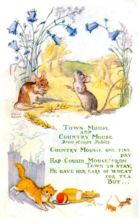 Town Mouse and Country Mouse | Mouse illustration, Children's book ...