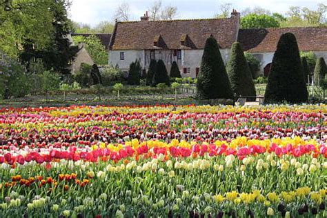 Chateau de Chenonceau gardens; a stunning chateau surrounded by ...