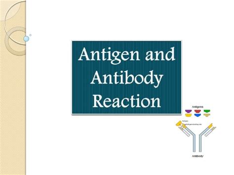 Antigen and antibody reaction