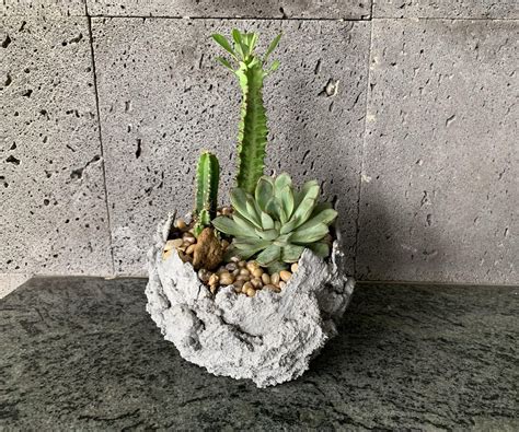 Cement Decor Planters : 10 Steps (with Pictures) - Instructables