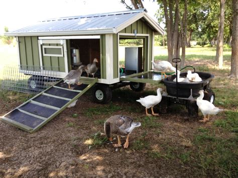 Large Portable Goose (or Duck) Coop Wagon with Water Catchment ...