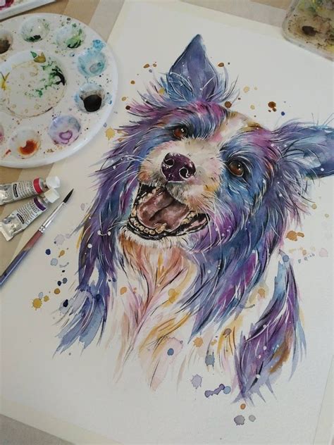 pet portrait watercolour splash Portrait Watercolour, Border Collie ...