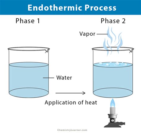 Endothermic Reaction: Definition, Equation, Graph & Examples