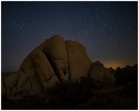 Joshua Tree Night Sky :: Behance