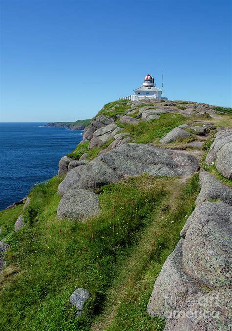 Cape Spear Path Photograph by Nina Stavlund - Fine Art America