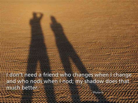 Shadow Friends Quotes. QuotesGram