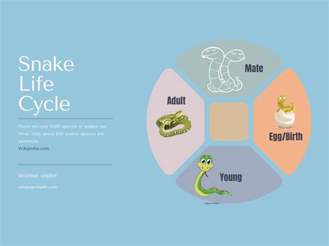 [Study guide] The Life Cycle of a Snake