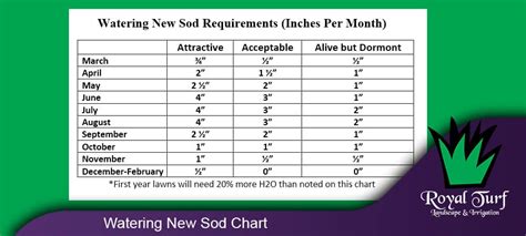 Watering New Sod | Watering Schedule & Chart For Each Season