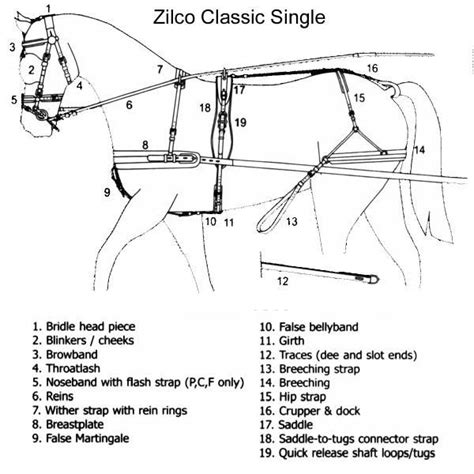 horse harness parts diagram - Yahoo Search Results | Horse harness ...