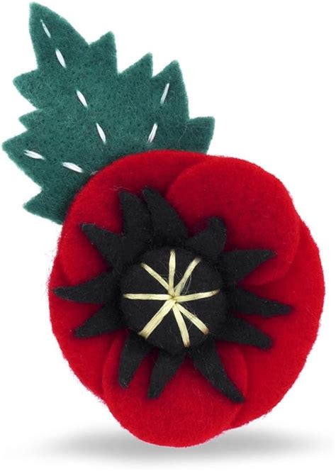 The Royal British Legion Felt Poppy Brooch: Amazon.co.uk: Jewellery