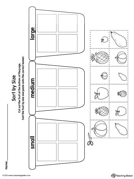 Sort by Size Worksheet: Small, Medium, Large | MyTeachingStation.com