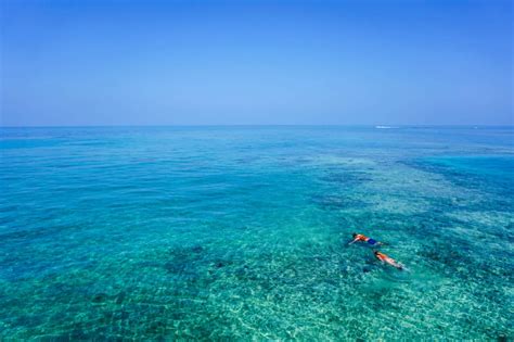 Best Snorkeling Along the Kauai Island Coast