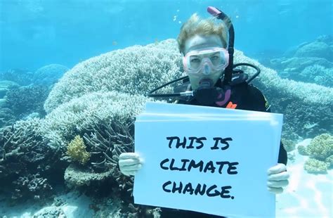 How climate change impacts the Great Barrier Reef tourism industry ...