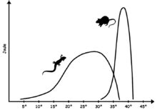 Endotherm - Wikipedia